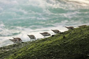 「鹿児島の探偵解説」義理の嫁の不倫にどう向き合うか