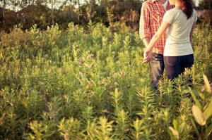 「鹿児島の探偵解説」熟年不倫が急増中！40～60代の75%が経験？