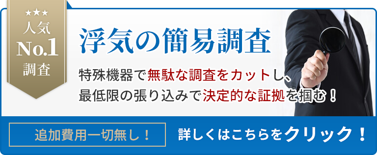 人気NO.1調査　浮気の簡易調査
