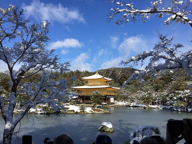 金額