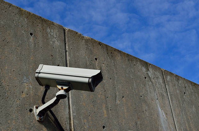 surveillance