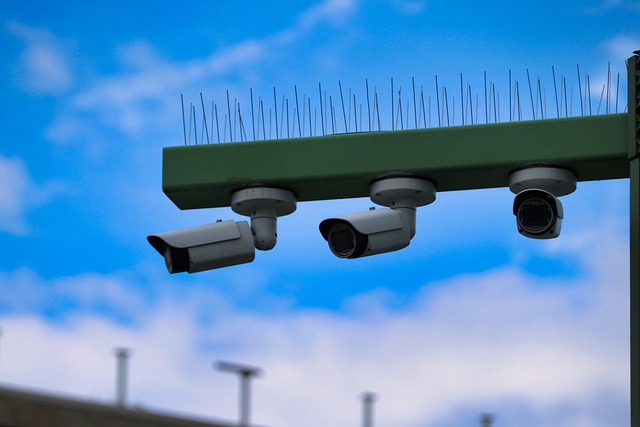 surveillance