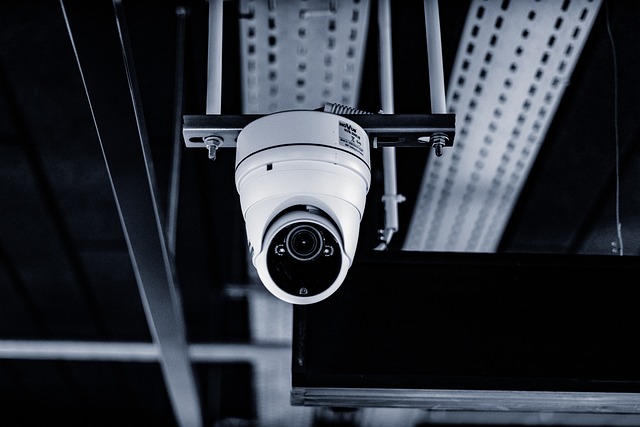 surveillance