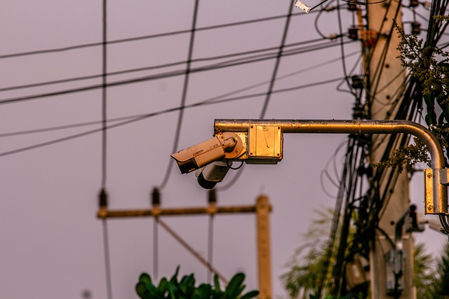 surveillance